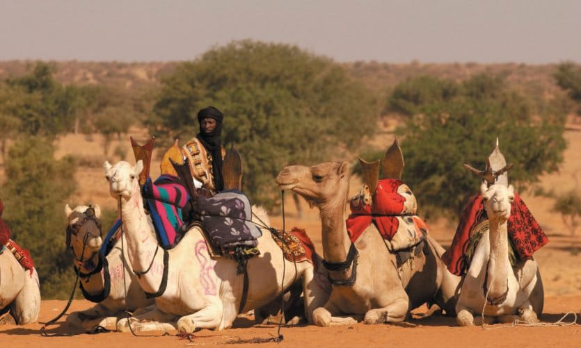 Journée culturelle du Burkina Faso