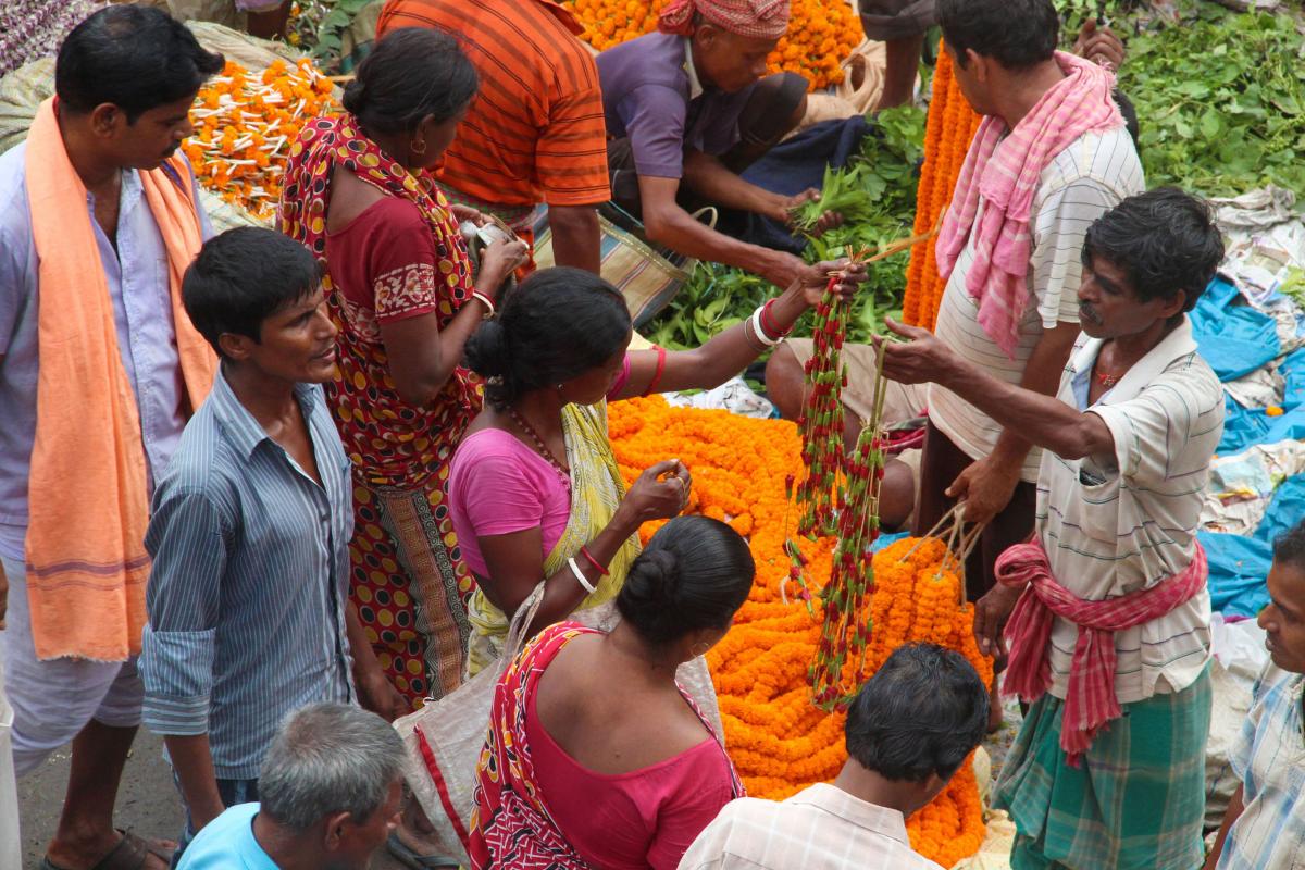 Carnets de traverse : Calcutta, la trépidante !