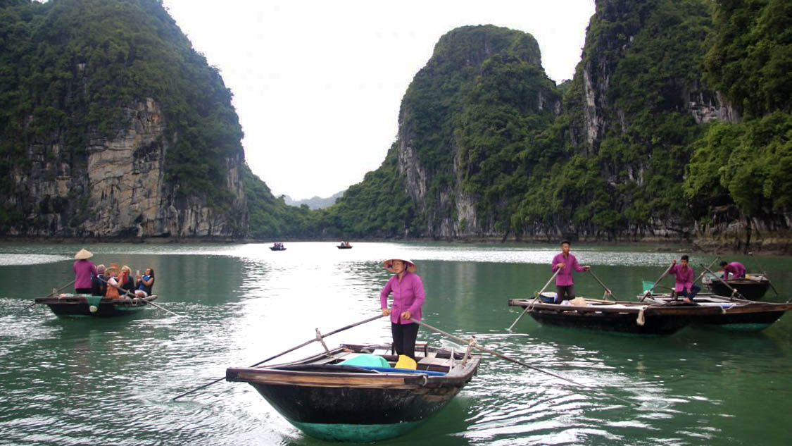 Carnet de traverse : La baie d'Halong, une merveille de la nature